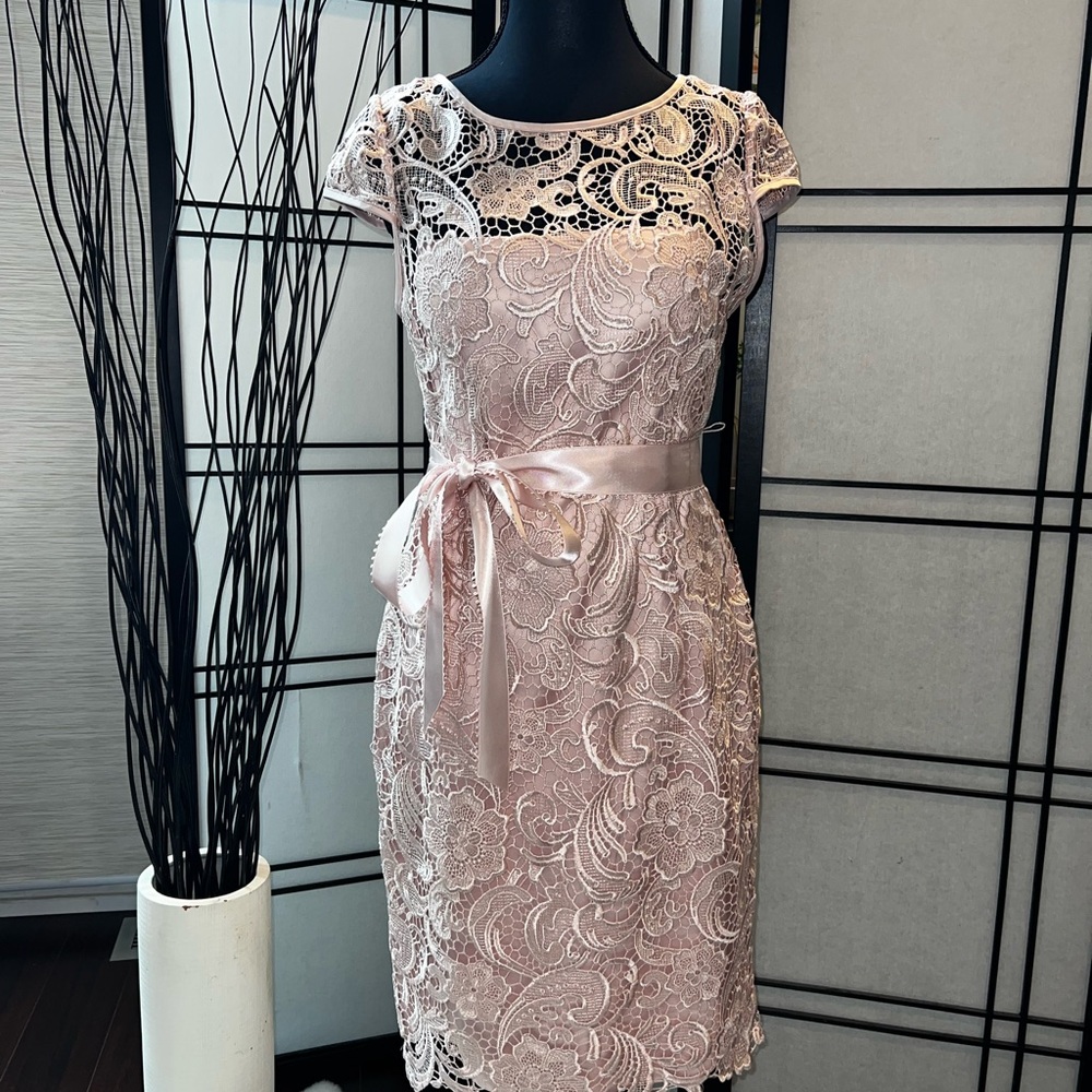 Elegant Lace Pink Dress